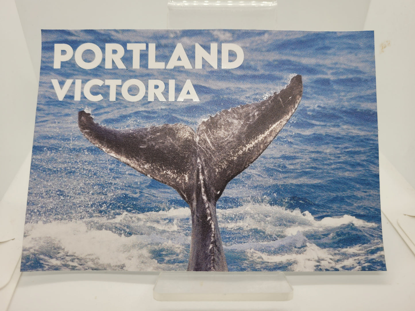 Portland Whale Tail car sticker