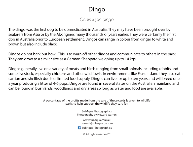 Dingo Greeting Cards
